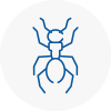 Ant Removals In Tamworth