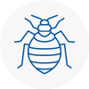 Bed Bug Extermination In Tamworth