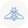 Bee Nest Removal Tamworth