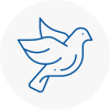 Bird Prevention Tamworth