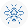 Tamworth Hornet Nest Removals