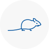 Mice Exterminators In Tamworth