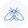 Moth Control Specialists In Tamworth