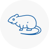 Rat Control Tamworth