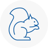 Tamworth Rodent Removals